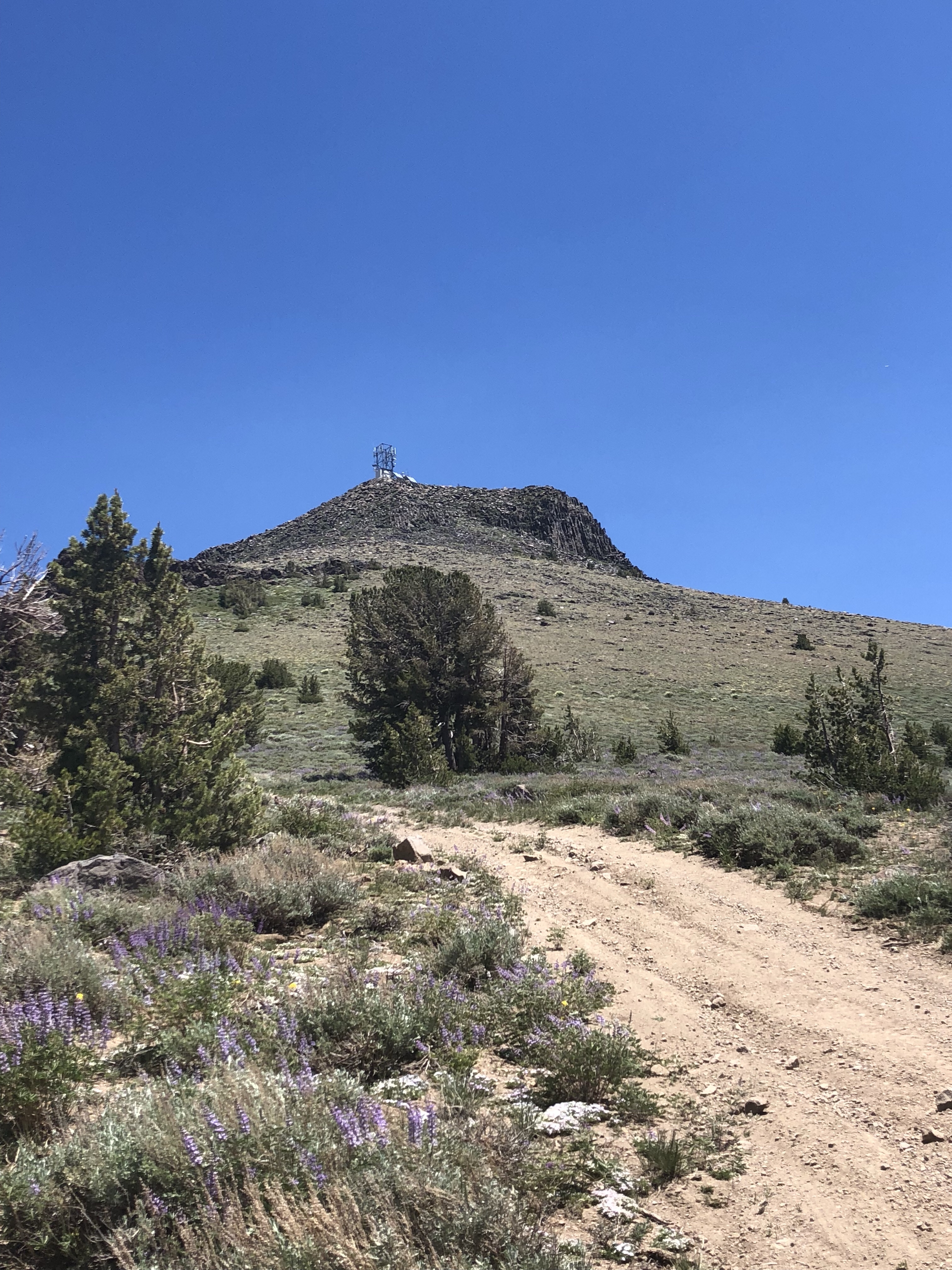 Alternative access for Hawkins