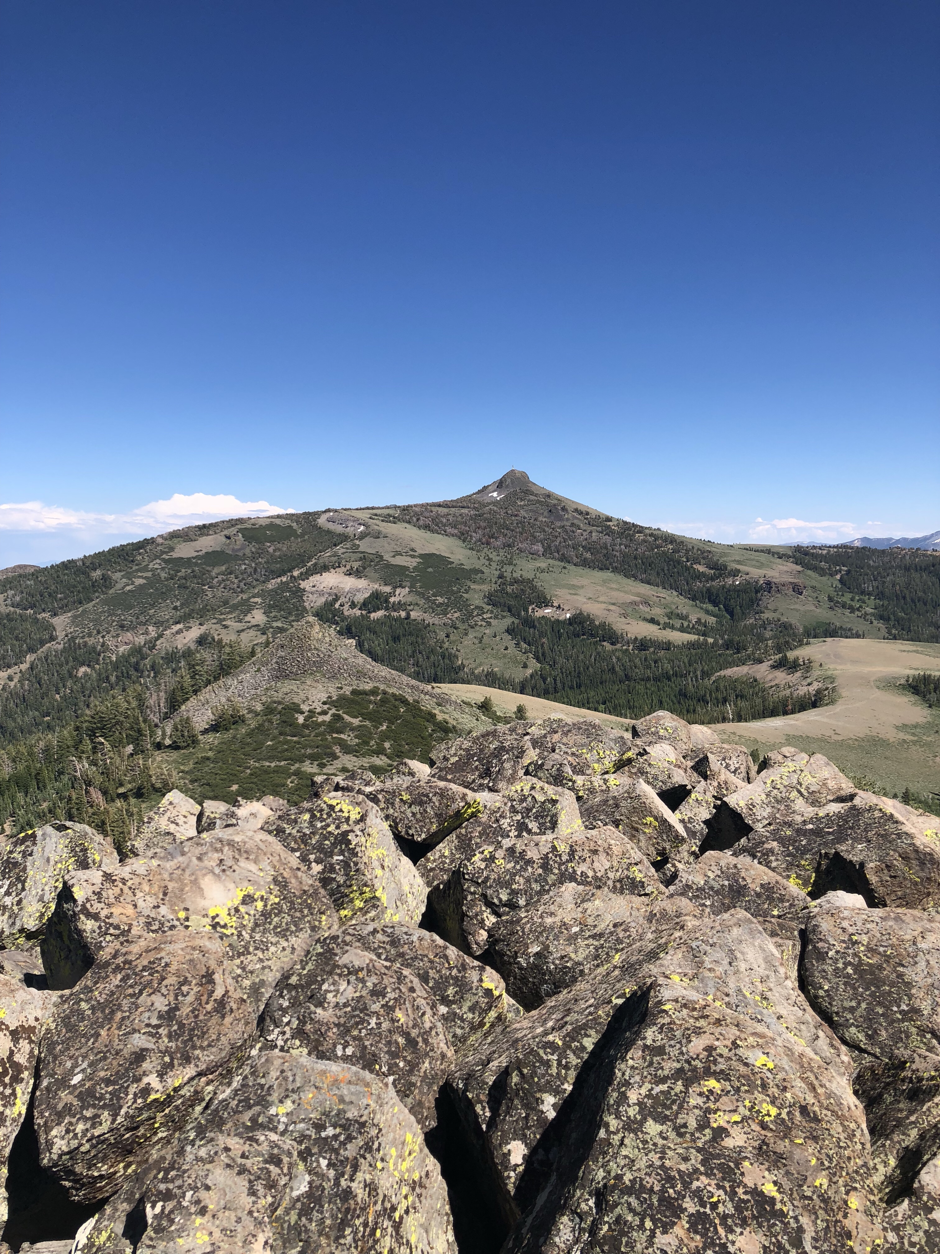 Hawkins from Picketts