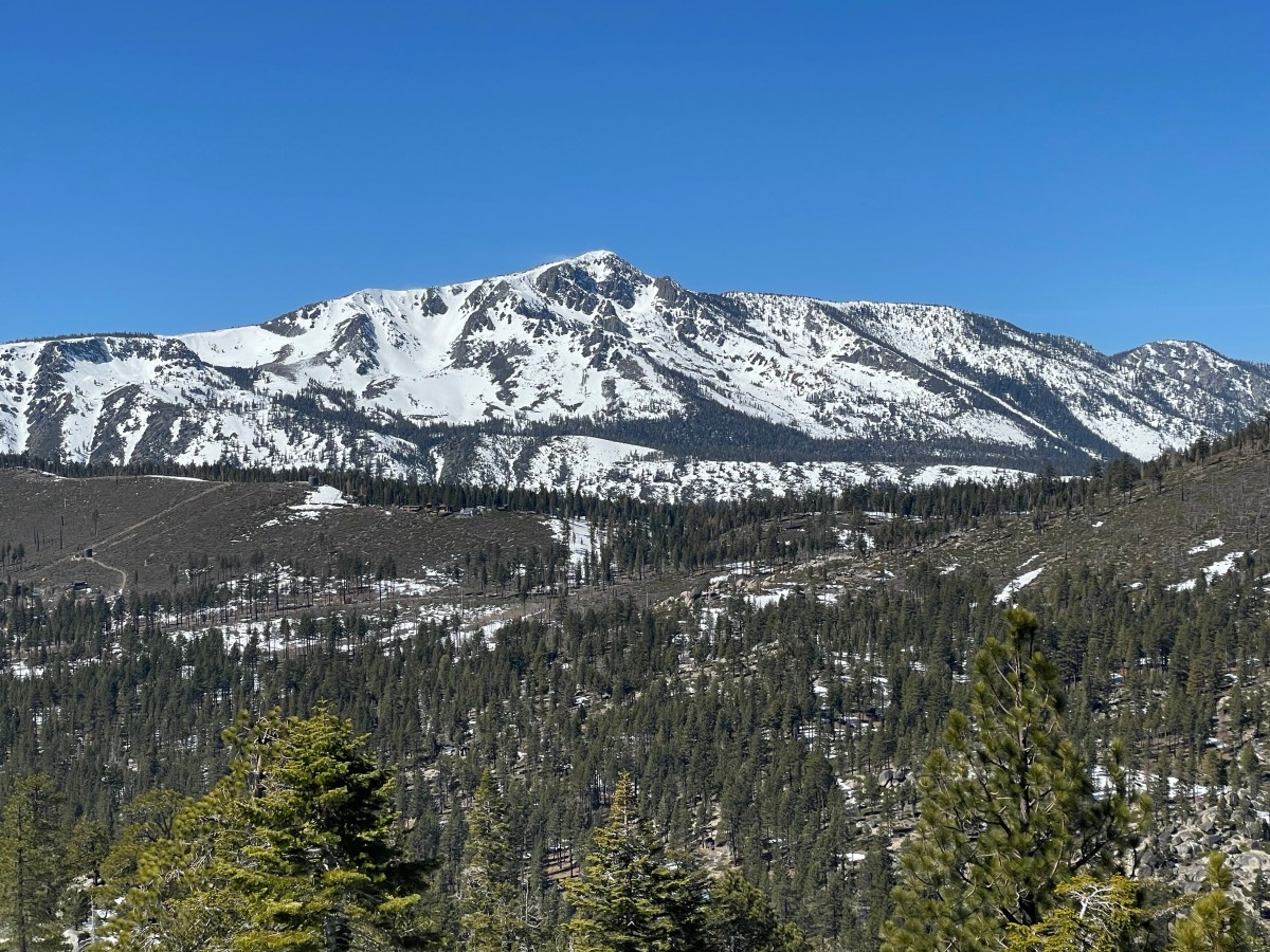 And now for something completely&nbsp;different